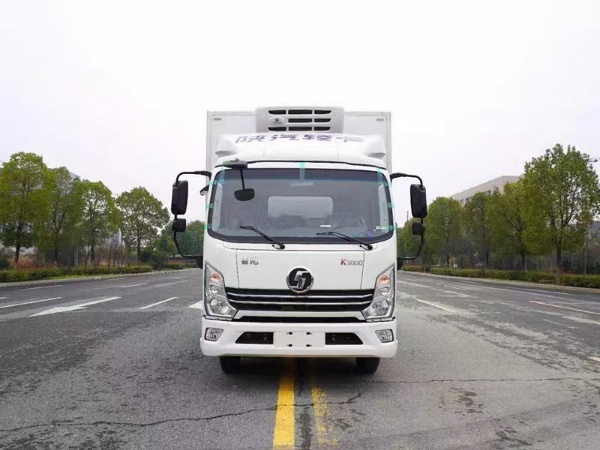 （國(guó)六）陜汽德龍K3000冷藏車